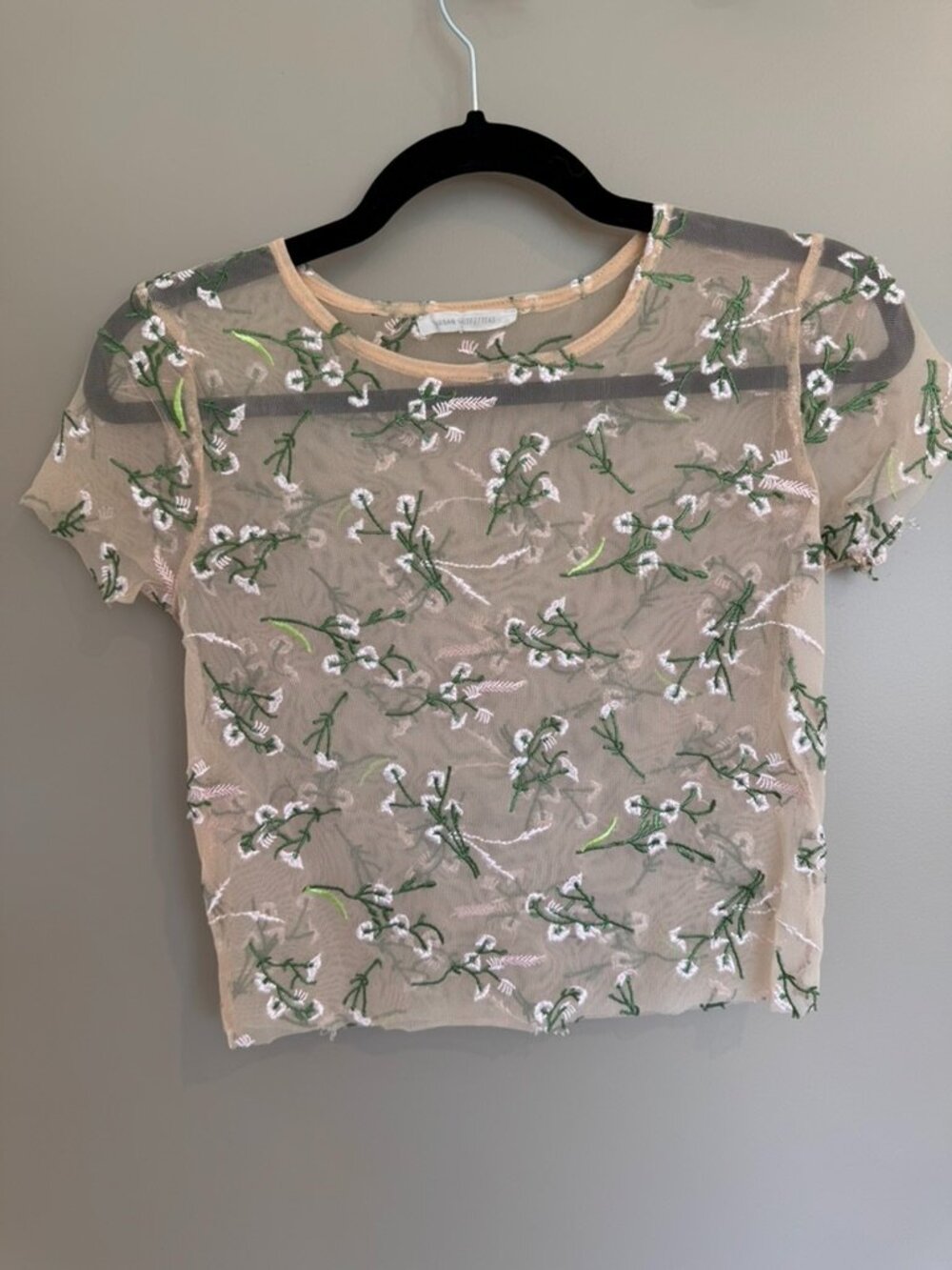 Urban Outfitters Sheer Floral Crop Top